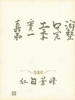 真实工口游戏2第一季完整版