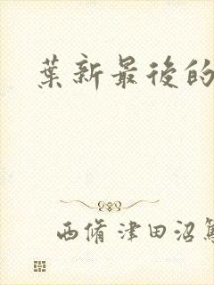 叶新最后的结局