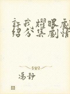 许我耀眼剧情介绍分集剧情介绍