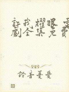 许我耀眼 电视剧全集免费观看