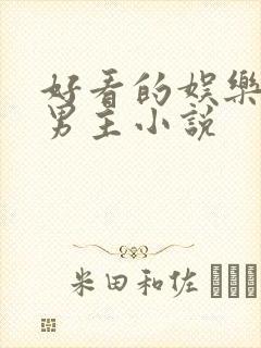 好看的娱乐圈双男主小说