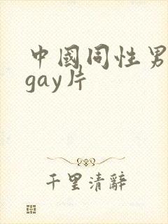 中国同性男男黄gay片