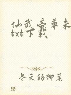 仙武帝尊未删减txt下载