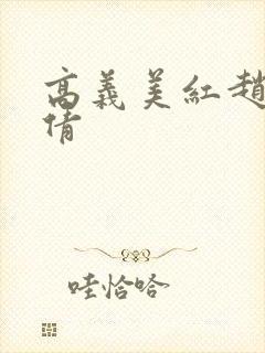 高义美红赵敏孙倩封面