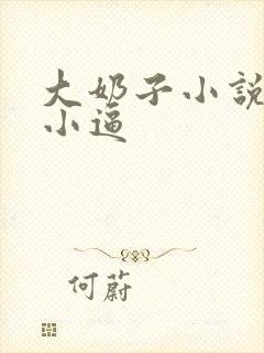 大奶子小说扒开小逼封面