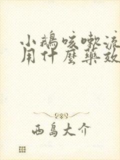 小鹅咳嗽流鼻涕用什么药效果好?