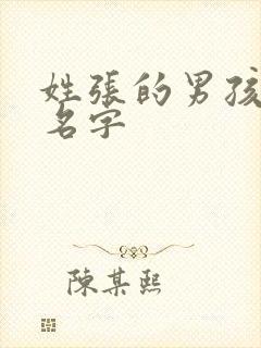 姓张的男孩子的名字封面