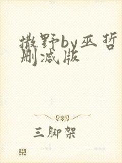 撒野by巫哲未删减版