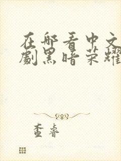 在哪看中文版韩剧黑暗荣耀第二季