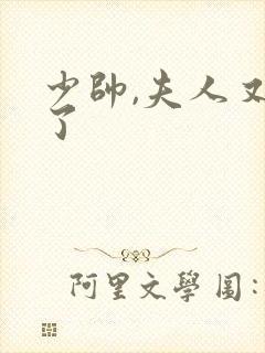 少帅,夫人又跑了