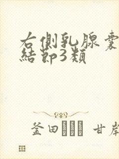 右侧乳腺囊实性结节3类封面
