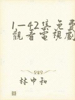 1—42集免费观看电视剧无间