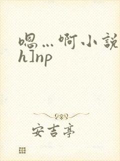 嗯…啊小说[高h]np