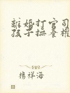 离婚打官司争夺孩子抚养权封面