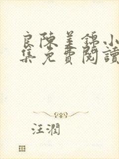 良陈美锦小说全集免费阅读