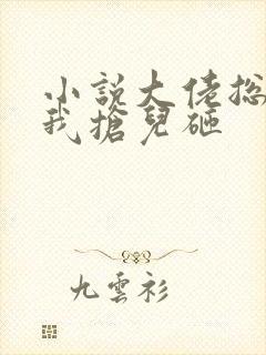 小说大佬总想跟我抢儿砸封面