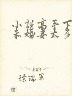 小说高手下山,未婚妻太多,我要全球选妃封面