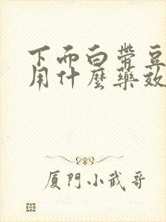 下面白带豆腐渣用什么药效果好