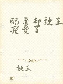 配角却被王子给宠爱了