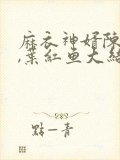 麻衣神婿陈黄皮,叶红鱼大结局