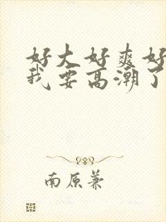 好大好爽好舒服我要高潮了封面