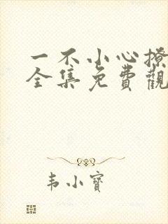 一不小心撩错人全集免费观看短剧