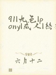 91|九色|pony|成人|丝袜封面