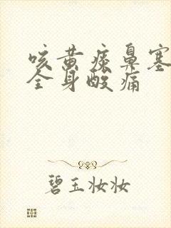 咳黄痰鼻塞头疼全身酸痛