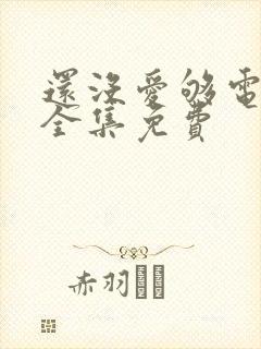 还没爱够电视剧全集免费