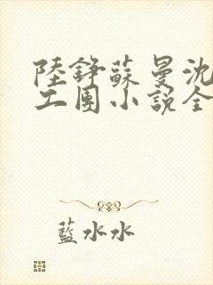 陆铮苏曼沈婉文工团小说全文阅读