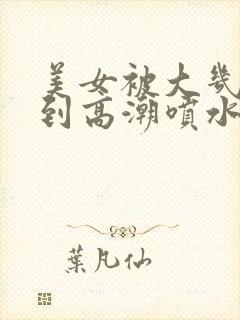 美女被大几把操到高潮喷水视频