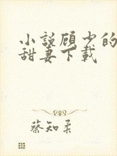 小说顾少的替嫁甜妻下载