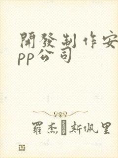 开发制作安卓app公司