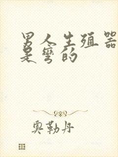 男人生殖器为啥是弯的