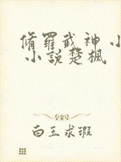 修罗武神 小说 小说楚枫