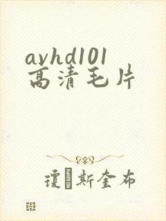 avhd101高清毛片
