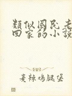 类似国民老公带回家的小说