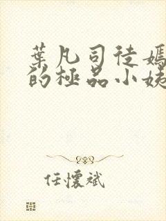 叶凡司徒嫣然我的极品小姨完整