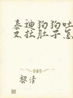 泰迪狗狗吐黄水又拉肚子怎么办