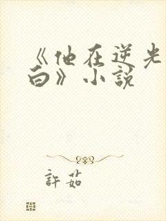 《他在逆光中告白》小说