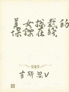 美女总裁的神级保镖在线