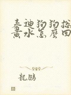 泰迪狗狗总是吐黄水怎么回事