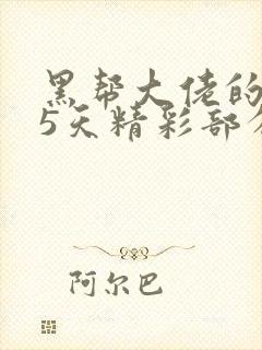 黑帮大佬的365天精彩部分