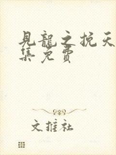 见龙之挽天倾全集免费封面