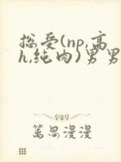 总受(np,高h,纯肉)男男文
