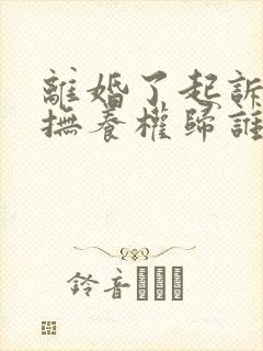 离婚了起诉孩子抚养权归谁