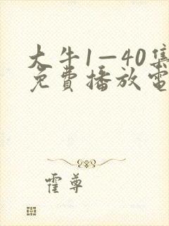 大牛1—40集免费播放电视剧