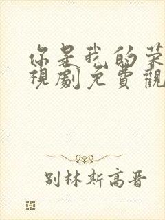 你是我的荣耀电视剧免费观看高清