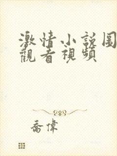 激情小说图在线观看视频