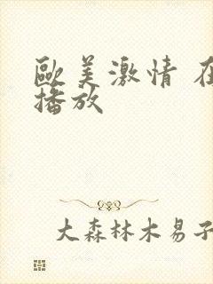 欧美激情 在线播放